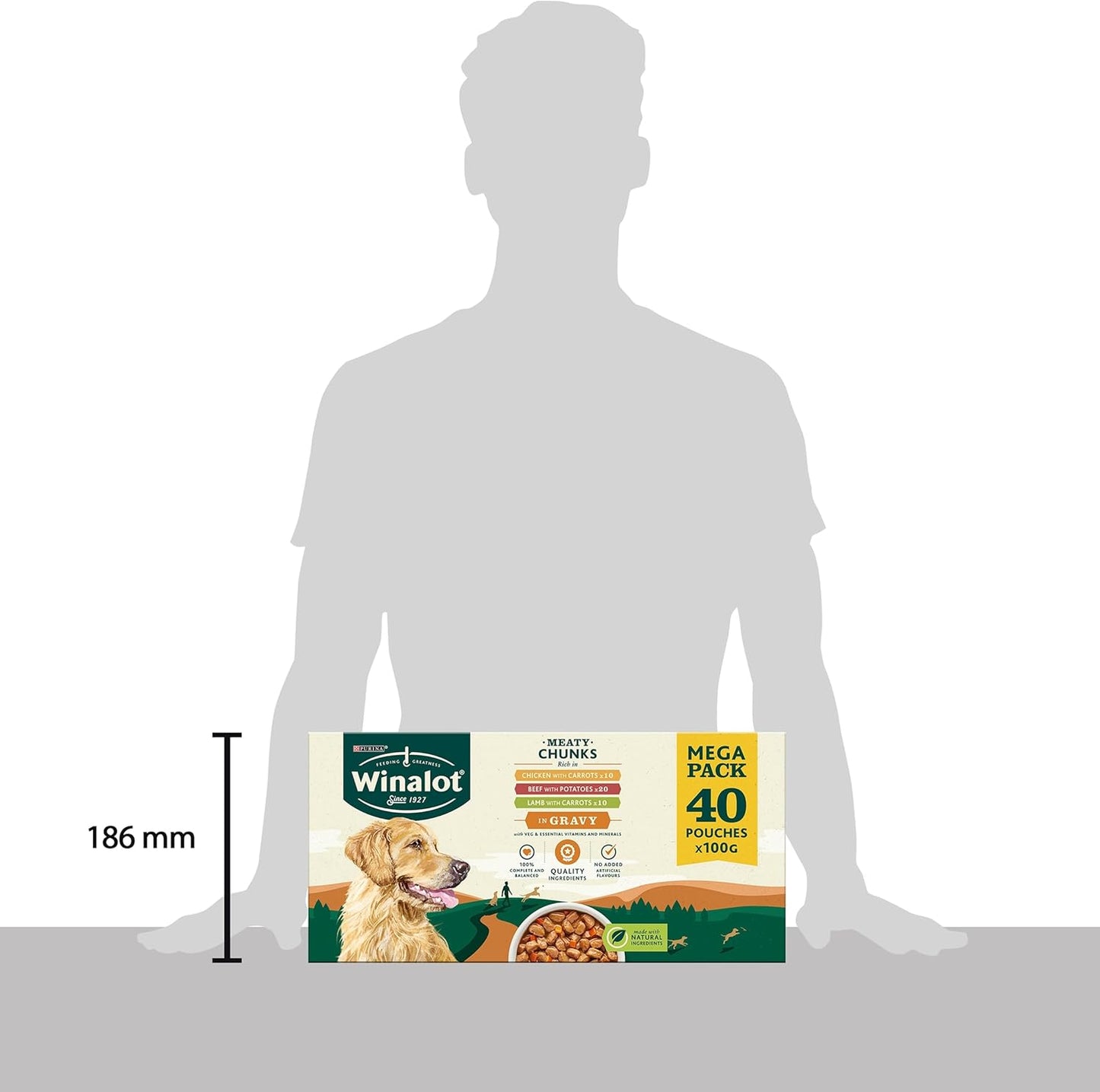 Meaty Chunks Mixed in Gravy Wet Dog Food Pouches 40X100G