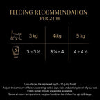 Fine Flakes in Jelly – Fish Collection – Wet Cat Food Pouches for Adult Cats – 40X85G Pack