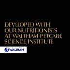 Fine Flakes in Jelly – Fish Collection – Wet Cat Food Pouches for Adult Cats – 40X85G Pack