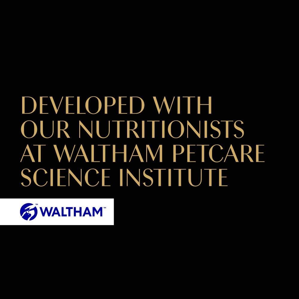 Fine Flakes in Jelly – Fish Collection – Wet Cat Food Pouches for Adult Cats – 40X85G Pack