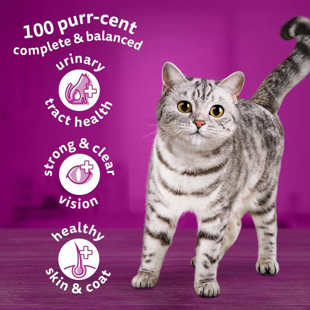 - 1+ Adult Dry Cat Food - 7Kg - Biscuits Made with Chicken - Bulk Cat Food Bag