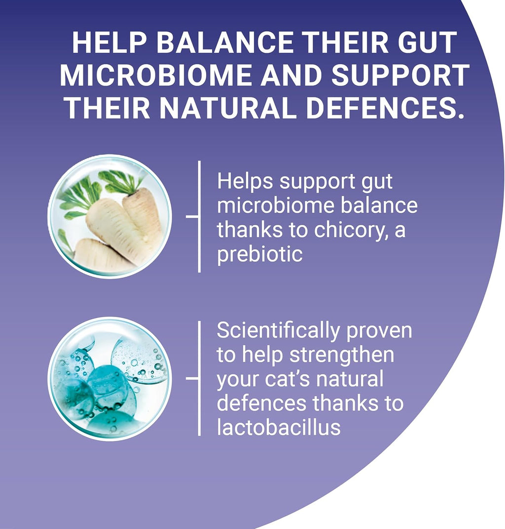 Chicken Dry Cat Food 6Kg