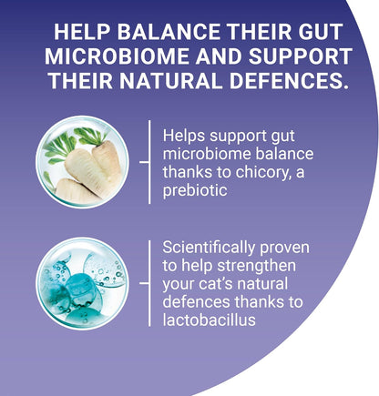 Chicken Dry Cat Food 6Kg