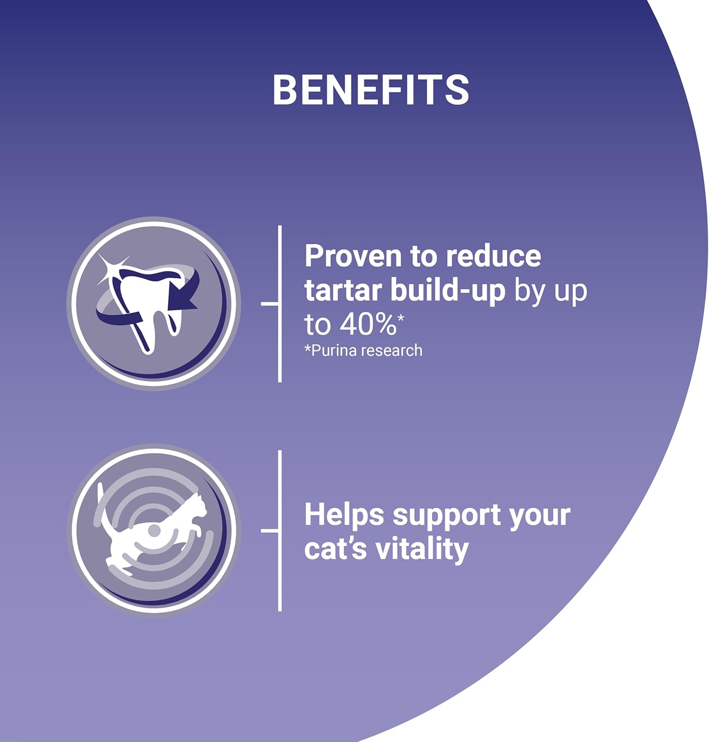 Chicken Dry Cat Food 6Kg