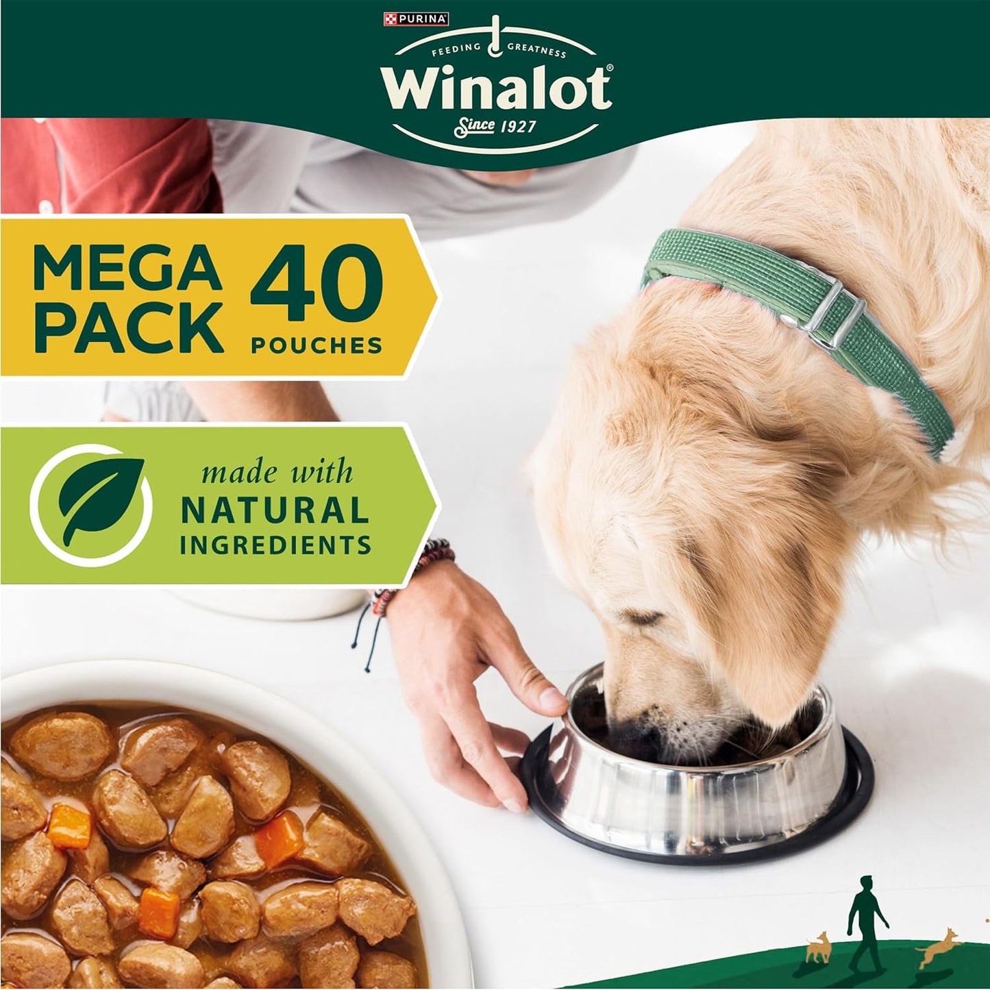 Meaty Chunks Mixed in Gravy Wet Dog Food Pouches 40X100G