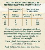 Meaty Chunks Mixed in Gravy Wet Dog Food Pouches 40X100G