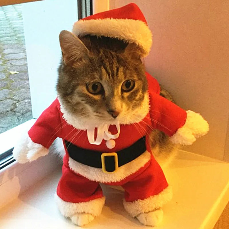 Santa Pet Costume – Cute Holiday Outfit for Cats & Dogs