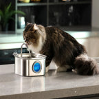 3.2L Stainless Steel Pet Water Feeder Auto Cat Fountain Smart Dog Water Dispenser Visual Window Drinking Bowl Pet Accessories