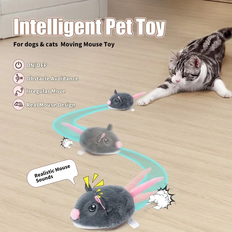 Funny Electric Mouse Cat Toys 
