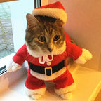 Santa Pet Costume – Cute Holiday Outfit for Cats & Dogs