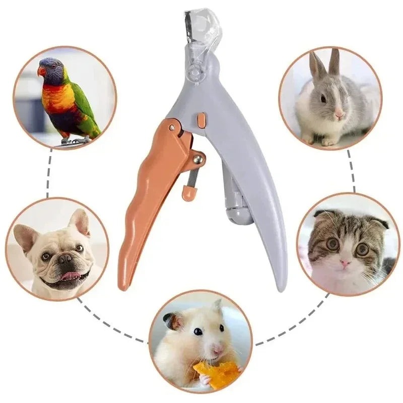 Pet Nail Clipper Scissors with LED Light