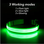 USB Rechargeable Luminous Collar Adjustable Led Glowing Dog Collar for Large Small Dogs Cat Night Light Collar Pet Safety Harnes