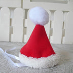 Santa Pet Costume – Cute Holiday Outfit for Cats & Dogs