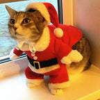 Santa Pet Costume – Cute Holiday Outfit for Cats & Dogs