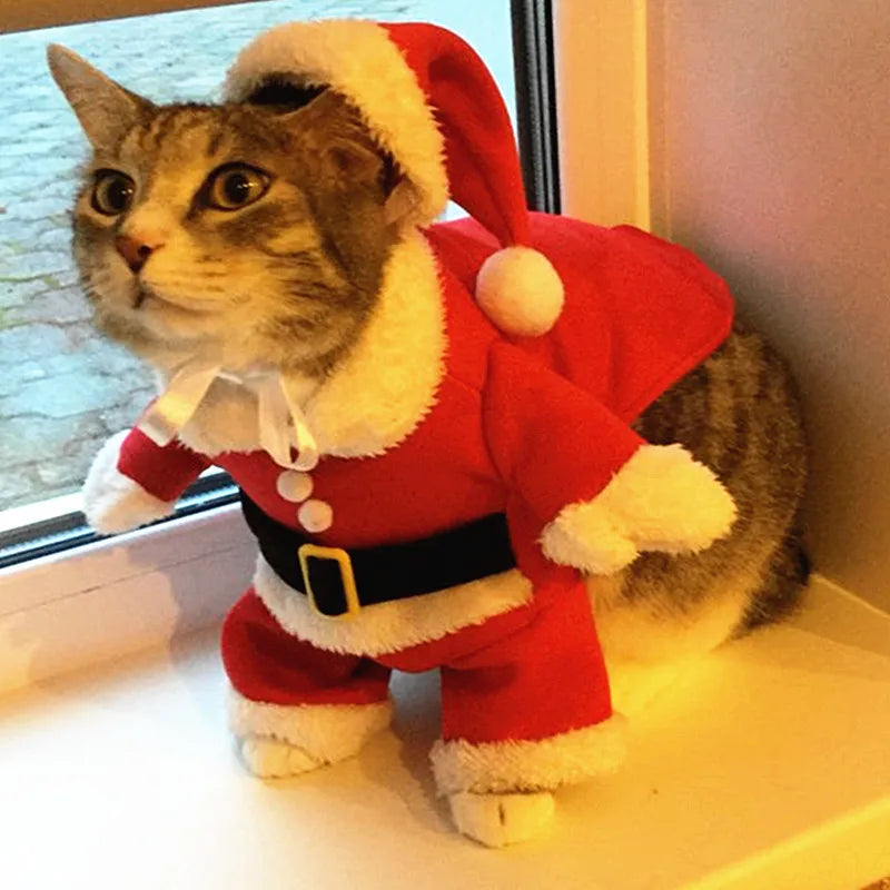 Santa Pet Costume – Cute Holiday Outfit for Cats & Dogs